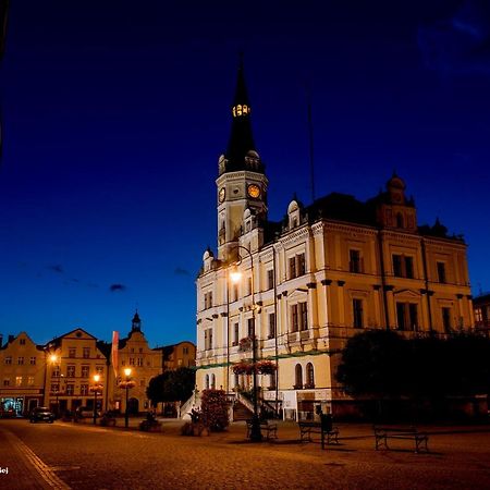 Willa Arabeska Lądek-Zdrój エクステリア 写真
